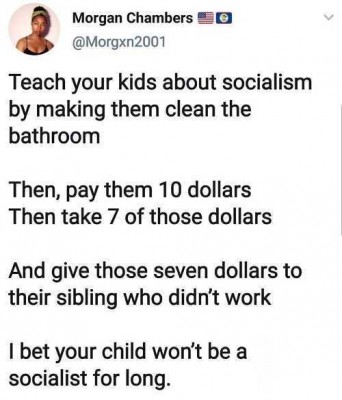tweet-teach-kids-about-socialism-clean-bathroom-for-10-take-7-give-to-sibling-who-didnt-work-for-it.jpg